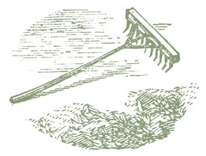 rastrello_verde